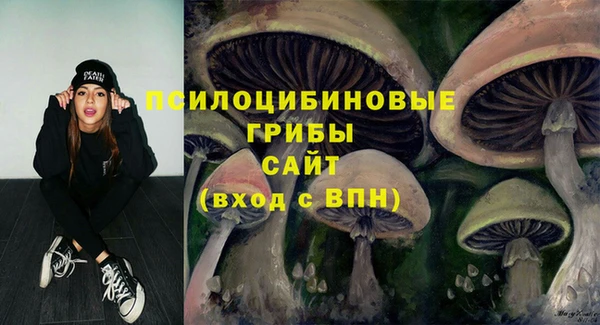 ALPHA PVP Баксан