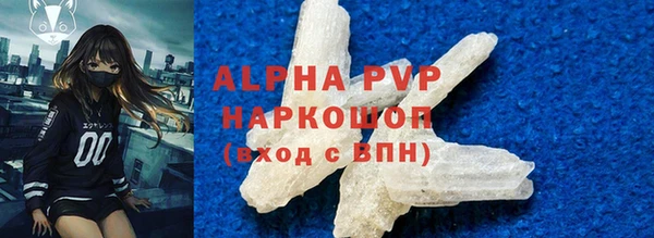 СК Балахна