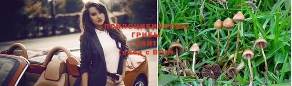 гашик Балабаново